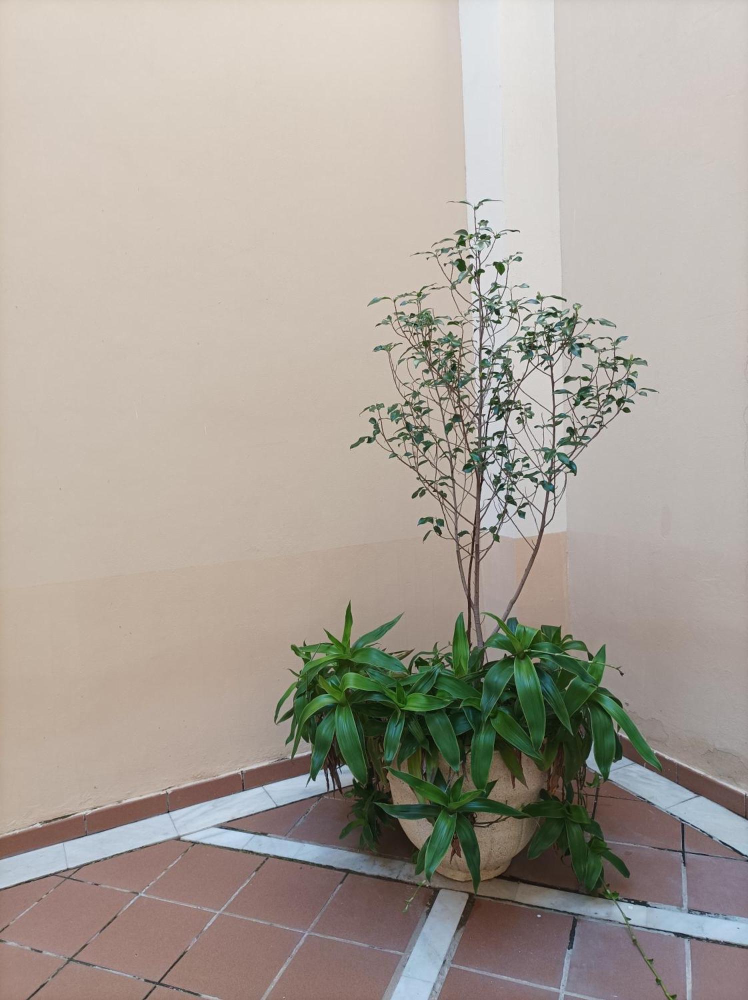 Apartamento De Lux Sevilla Este ภายนอก รูปภาพ